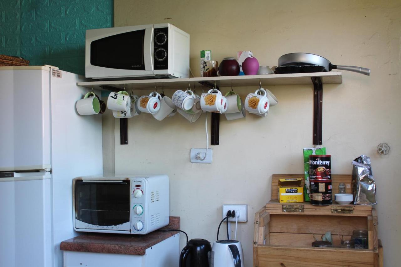 Hostel La Posada Gallo Arica Eksteriør bilde