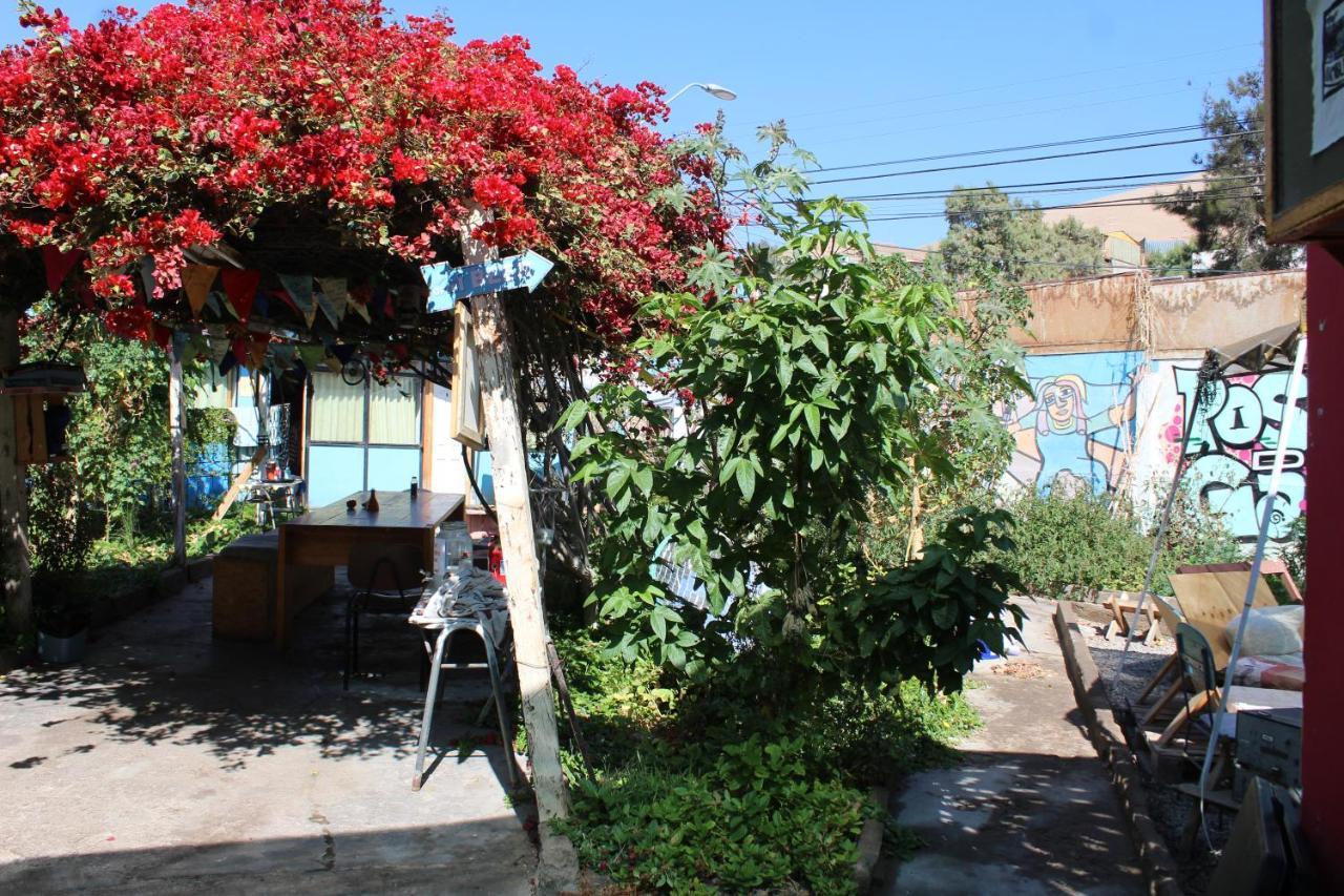 Hostel La Posada Gallo Arica Eksteriør bilde