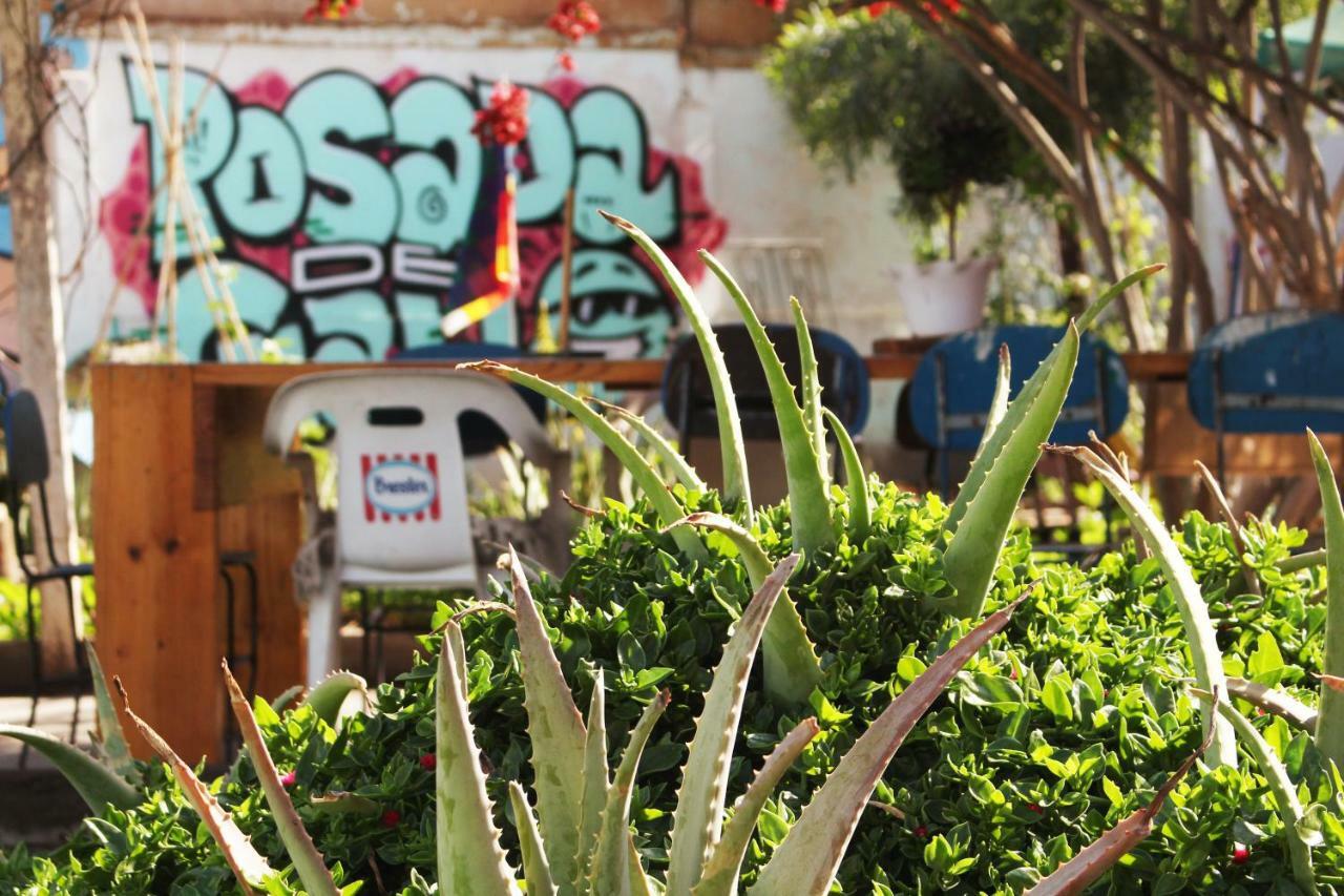 Hostel La Posada Gallo Arica Eksteriør bilde