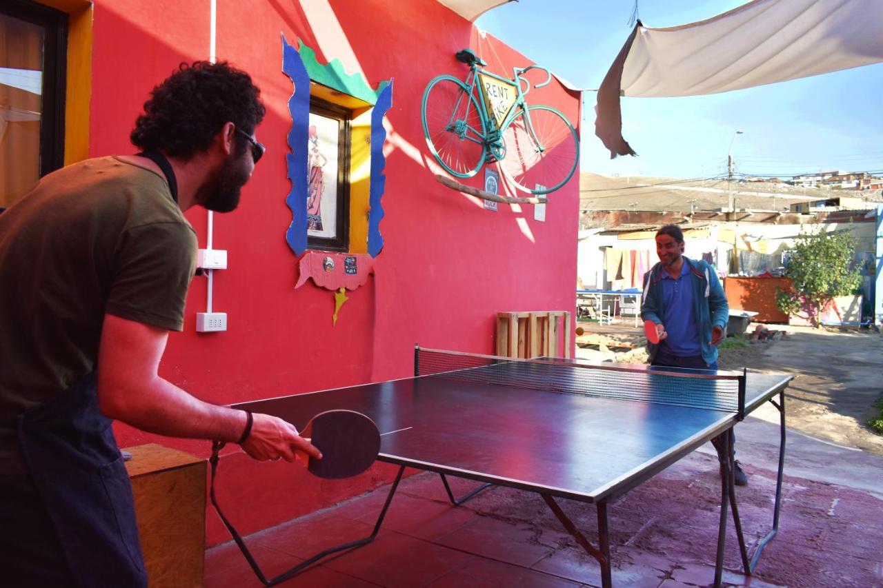 Hostel La Posada Gallo Arica Eksteriør bilde
